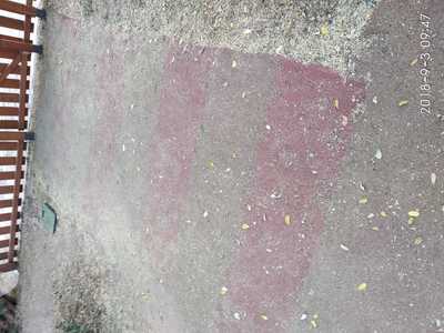 Καθαρισμος