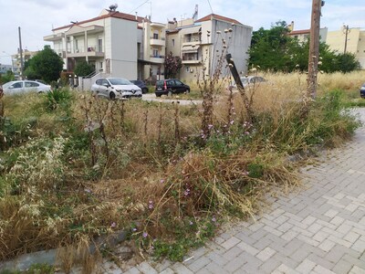 ΚΑΘΑΡΙΣΜΟΣ ΓΕΙΤΟΝΙΚΩΝ ΟΙΚΟΠΕΔΩΝ