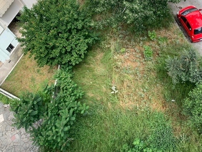 Καθαρισμός ακαλυπτου οικοπεδου