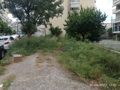 Καθαρισμός έκτασης 