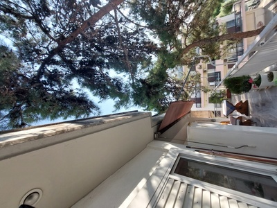 Προβλημα με κλαδια πευκων μακροχωριου 1