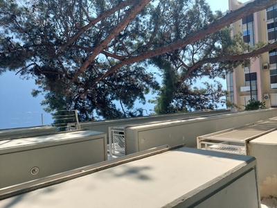 Προβλημα με κλαδια πευκων μακροχωριου 1