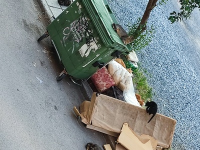 Αποκομιδή ογκοδων στη Καρολιδου