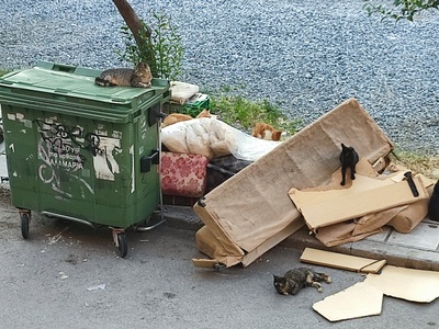 Αποκομιδή ογκοδων στη Καρολιδου