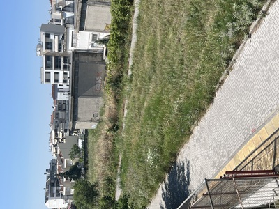 Κοπή χόρτων και θάμνων στην Κωνσταντίνου Γαβριηλιδη με ωρολογά 