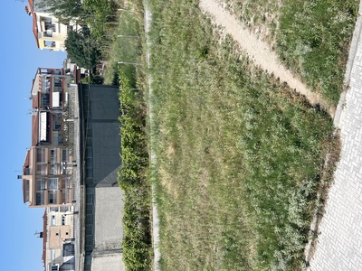 Κοπή χόρτων και θάμνων 