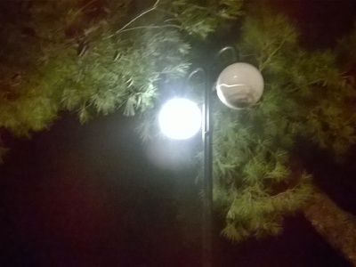 ΕΠΕΣΕ ΜΑΥΡΟ ΣΤΟ ΠΑΡΚΟ ΝΤΕ΄Ι΄Ν
