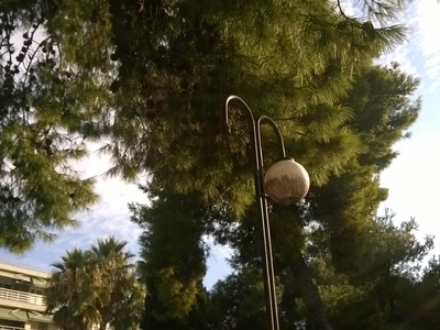 ΕΠΕΣΕ ΜΑΥΡΟ ΣΤΟ ΠΑΡΚΟ ΝΤΕ΄Ι΄Ν