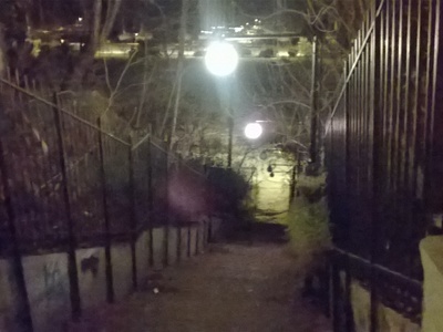 ΕΠΕΣΕ ΜΑΥΡΟ ΣΤΟ ΠΑΡΚΟ ΝΤΕ΄Ι΄Ν