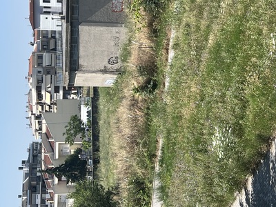 Κοπή χόρτων και θάμνων 