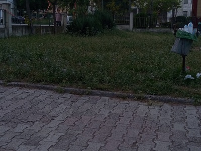 Καθαρισμος παρκου