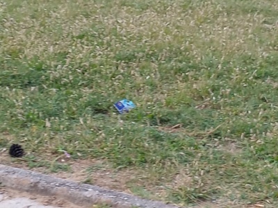 Καθαρισμος παρκου