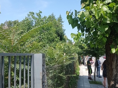 Κόψιμο χόρτα 