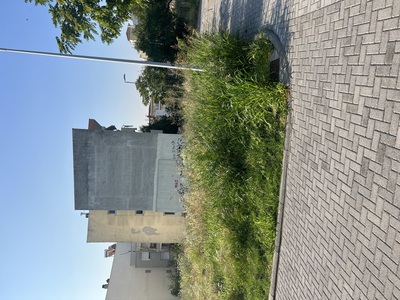 Κούρεμα χόρτων 