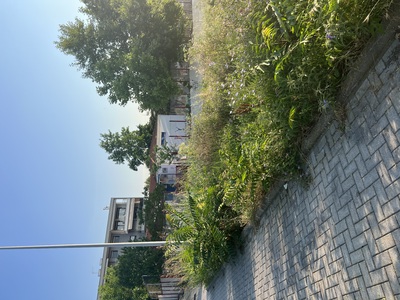 Κούρεμα χόρτων 