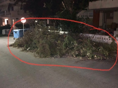 Αναγκαία περισυλλογή κλαδιών