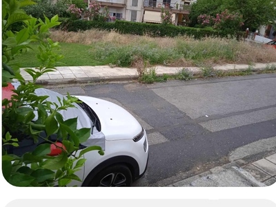 Κούρεμα χόρτων 