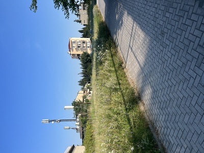 Κούρεμα χόρτων - επείγον - 3η αναφορά