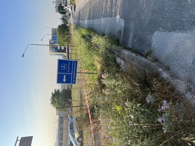 Κούρεμα χόρτων - επείγον - 3η αναφορά