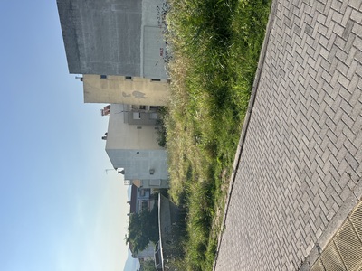 Κούρεμα χόρτων - επείγον - 3η αναφορά