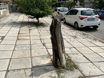 Πρεμνα σε Σοφουλη και καπετανιδου