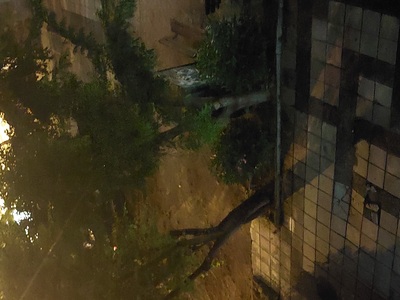 Σπασμένες πλάκες πεζοδρομίου μπροστά σε παιδική χαρά!