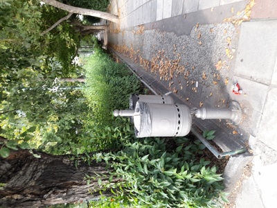 Κοκκινος συναργος 