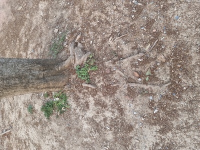 Εγκατάλειψη παιδικής χαράς 