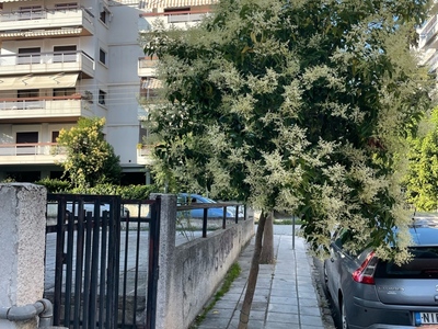 Κλάδεμα δεντρου Παπαναστασίου 1