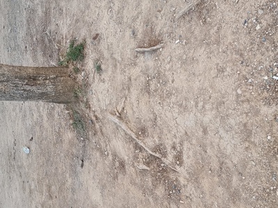 Εγκατάλειψη μιας και μοναδικής παιδικής χαράς που μας αφήσατε