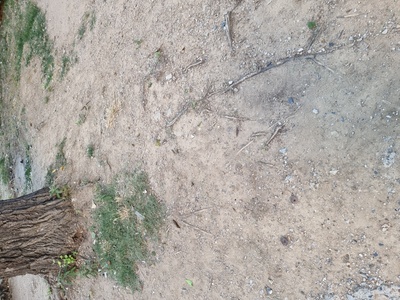 Εγκατάλειψη μιας και μοναδικής παιδικής χαράς που μας αφήσατε