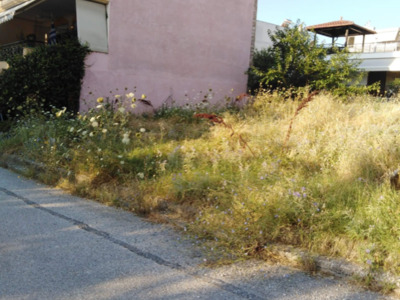 ΚΟΠΗ ΧΟΡΤΩΝ ΣΕ ΟΙΚΟΠΕΔΟ ΣΤΗΝ ΙΜΒΡΟΥ ΚΑΙ ΤΕΝΕΔΟΥ 11