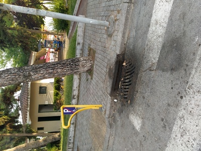 Λαδια στην σχάρα του δρόμου