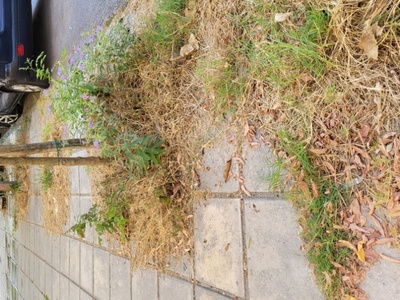 Κίνδυνος φωτιάς