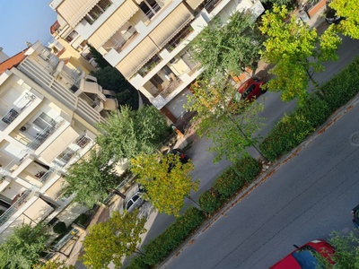 ΚΙΤΡΙΝΑ ΚΑΙ ΚΑΦΕ  ΦΥΛΛΑ ΣΕ ΚΕΝΤΡΙΚΗ ΔΕΝΔΡΟΣΤΟΙΧΙΑ