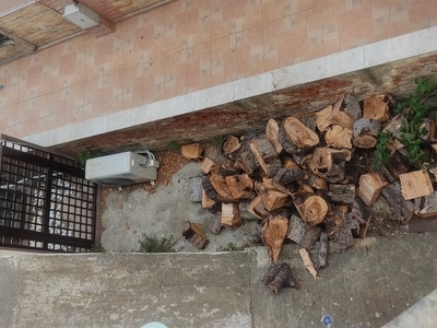 Επικινδυνη απόθεση κορμών κομμένου δέντρου σε χώρο πολυκατοικίας 