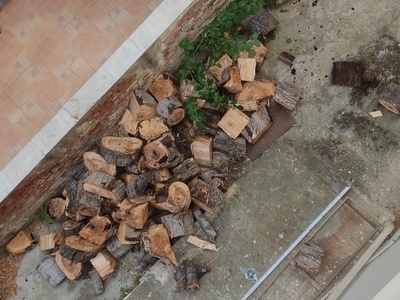 Επικινδυνη απόθεση κορμών κομμένου δέντρου σε χώρο πολυκατοικίας 