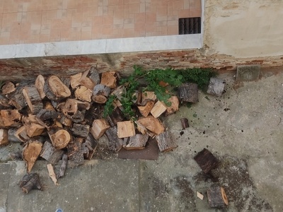 Επικινδυνη απόθεση κορμών κομμένου δέντρου σε χώρο πολυκατοικίας 