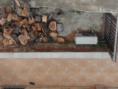 Επικινδυνη απόθεση κορμών κομμένου δέντρου σε χώρο πολυκατοικίας 