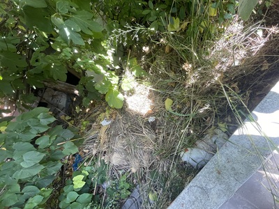 Κίνδυνος πυρκαγιάς