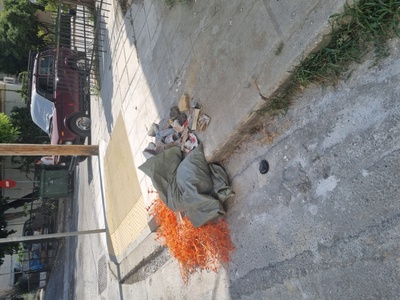 Συγκομιδή Σκουπιδιών και Υπολειμμάτων από Πρόσφατα έργα του Δήμου