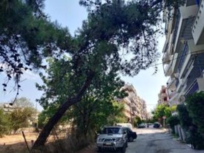 κοπη δενδρου επικινδυνα γερμενου