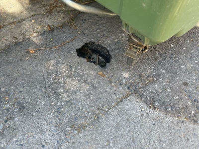 Επικινδυνες Τρυπες στο οδοστρωμα 