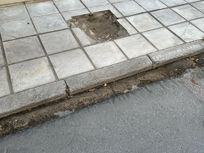 Δεντρο στην Κρωμνης