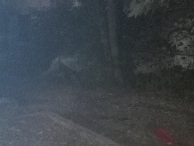 Ογκωδη σιδερα και ξηλα