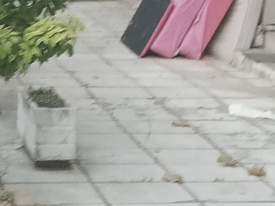 ΑΠΟΚΟΜΙΔΗ ΟΓΚΩΔΗ ΣΤΗΝ ΦΙΛΙΚΗΣ ΕΤΑΙΡΕΙΑΣ 