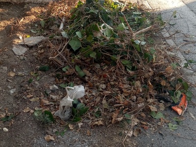 Μαζεμα χορτων και αλλων αντικειμενων 