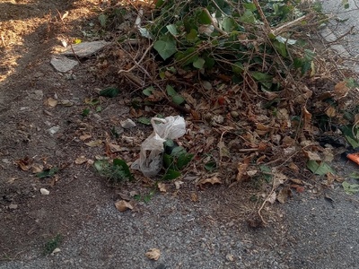 Μαζεμα χορτων και αλλων αντικειμενων 