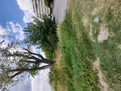 Σοσ σοσ σοσ 