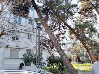 Κοψιμο κ οχι κλαδεμα δέντρου 